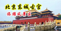 草逼拍拍中国北京-东城古宫旅游风景区